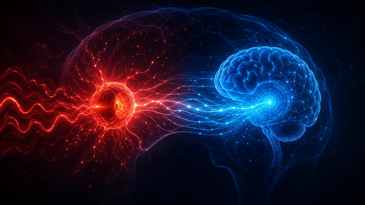 Illustration abstraite de la régulation émotionnelle : deux sphères lumineuses représentant l'amygdale et le cortex préfrontal reliées par un arc neuronal lumineux symbolisant le circuit de freinage émotionnel, fond très sombre violet profond, style scientific visualization cinématographique